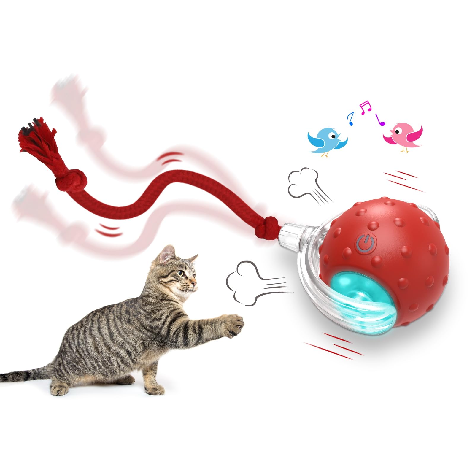 Interactive Cat Toys