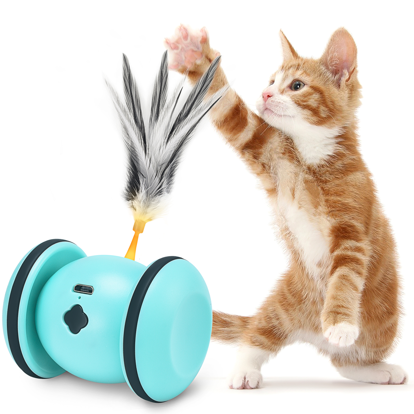 Interactive Cat Toys