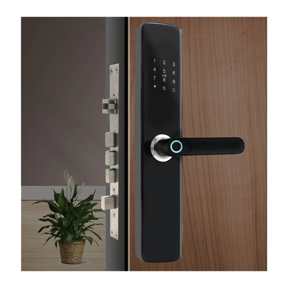 Fingerprint Door Locks